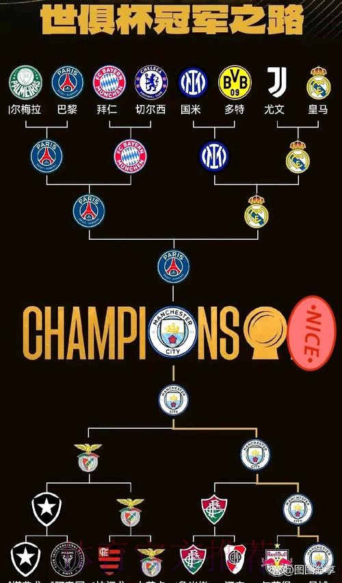 恩师:对阵曼城 卡马文加攻防俱佳&处理球有效率 恩师:对阵曼城 卡马文加攻防俱佳&处理球有效率